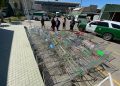 Con confiscación de medicamentos: avanzan las medidas de seguridad en Feria El Belloto de Quilpué