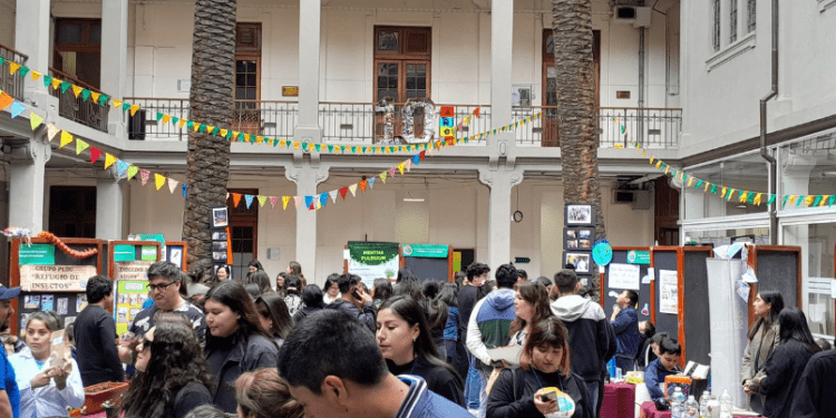 PUCV triplica adjudicaciones como beneficiaria principal en concurso ANID que fomenta la internacionalización