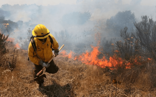 Observatorio Climático USS proyecta alto riesgo de incendios forestales para este miércoles en el valle interior entre Valparaíso y Los Ángeles