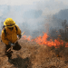 Observatorio Climático USS proyecta alto riesgo de incendios forestales para este miércoles en el valle interior entre Valparaíso y Los Ángeles