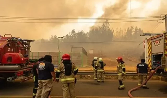 Gobierno despliega recursos en incendios de Región de Valparaíso