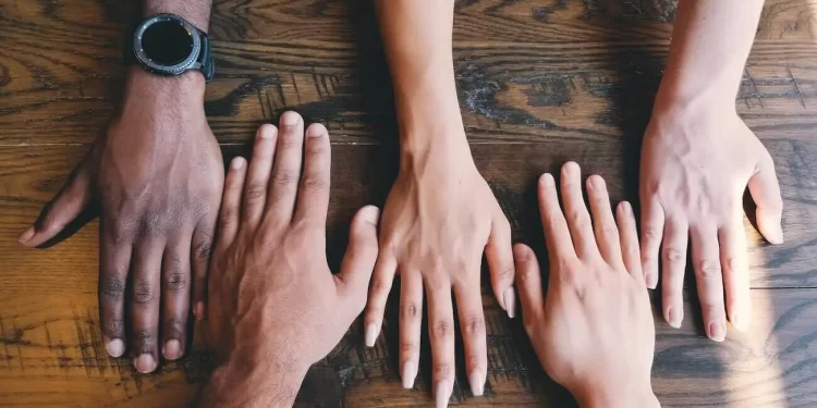 [Opinión] Andrés Musalem: Constitución e inclusión