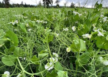 Buscan impulsar emprendimientos relacionados con la agricultura y la agroindustria