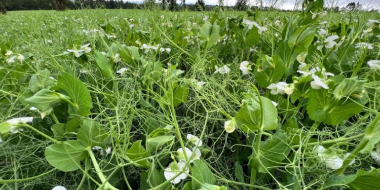 Buscan impulsar emprendimientos relacionados con la agricultura y la agroindustria