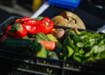 Alza de peajes podría incidir en aumento del valor de frutas y verduras