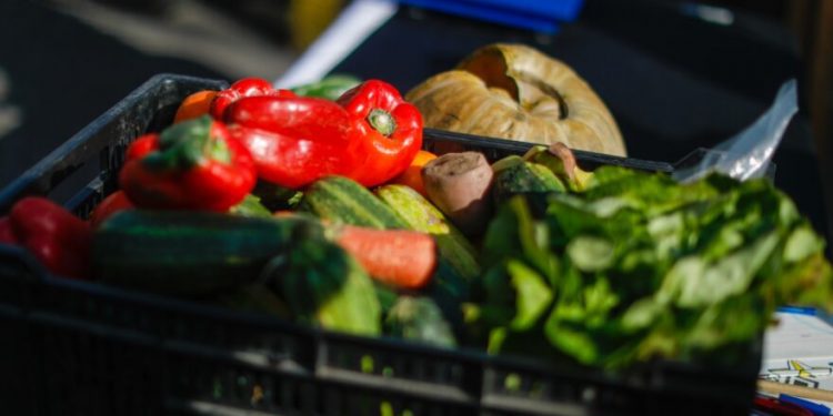 Alza de peajes podría incidir en aumento del valor de frutas y verduras