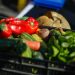 Alza de peajes podría incidir en aumento del valor de frutas y verduras