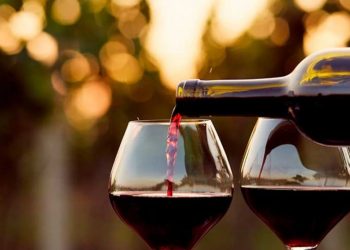 Cartelera del Centro de Extensión Duoc UC te invita a conocer sobre “Todos los Chiles Vitivinícolas” en las Cavas de Cousiño