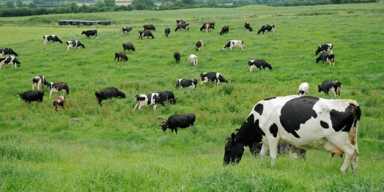 [Opinión] Jean Pierre Guichard: Proyecciones divergentes para los subsectores agroalimentarios en 2024