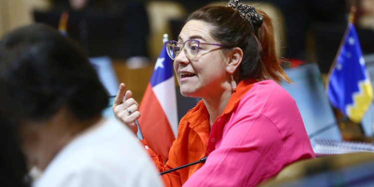 Diputada Bello valora proyecto que busca dar mayores facultades a DGA en fiscalización y vigilancia
