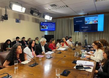 Comisión de Mujer de la Cámara solicita la salida de seremi de salud de Los Lagos