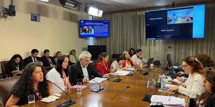 Comisión de Mujer de la Cámara solicita la salida de seremi de salud de Los Lagos