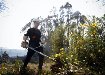 Cortafuegos y desmalezados en distintos puntos de la ciudad son parte del plan de prevención incendios en Valparaíso