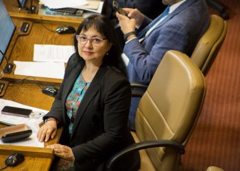 Diputada Marzán oficia al MOP y al Ministerio de Medio Ambiente por cierre de ruta