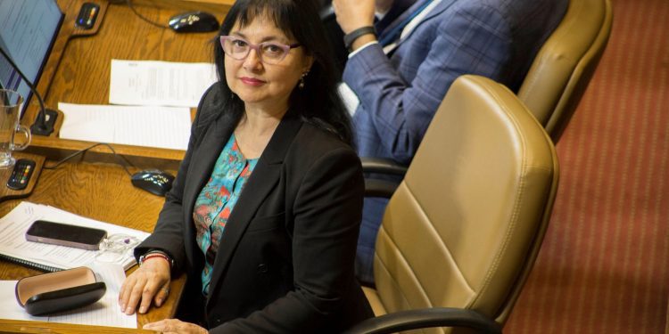 Diputada Marzán oficia al MOP y al Ministerio de Medio Ambiente por cierre de ruta