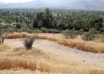 Alertan sobre el Fenómeno de La Niña y su alto impacto en la agricultura este 2024