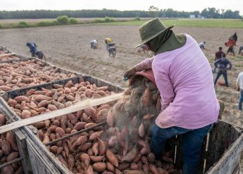 ISL Valparaíso entrega recomendaciones frente a exposición al sol y altas temperaturas en puestos de trabajo