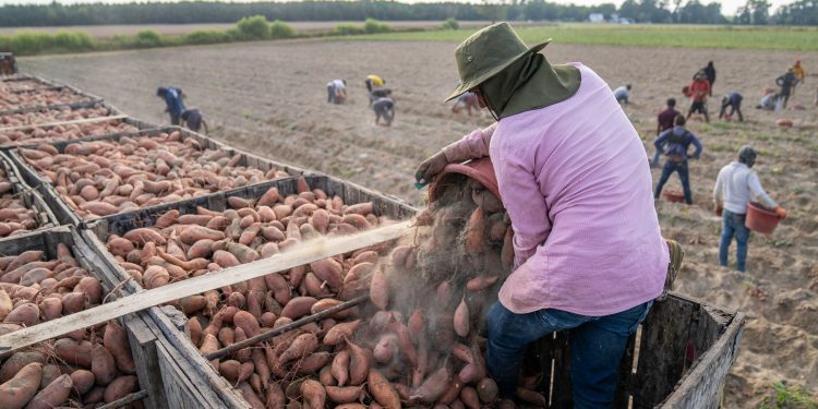 ISL Valparaíso entrega recomendaciones frente a exposición al sol y altas temperaturas en puestos de trabajo