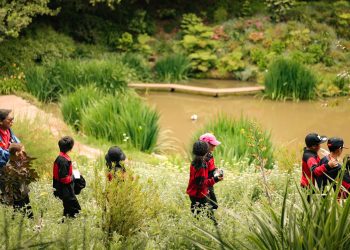 Más de 7 mil estudiantes han disfrutado de la educación ambiental fuera de la sala de clases gracias a Aula Tricao