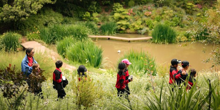 Más de 7 mil estudiantes han disfrutado de la educación ambiental fuera de la sala de clases gracias a Aula Tricao