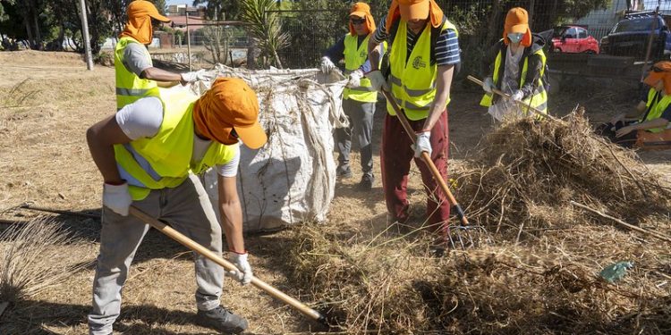 Municipio Abierto de Quilpué refuerza cuadrillas para el retiro de pastizales