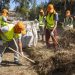 Municipio Abierto de Quilpué refuerza cuadrillas para el retiro de pastizales