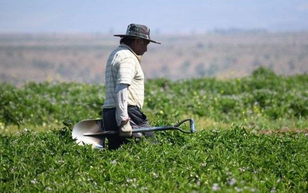 SNA hace llamado a “faena cero” por ola de calor pronosticada para varias regiones del país