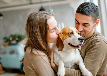 Qué tener en cuenta antes de comprar ropa, juguetes y accesorios para las mascotas