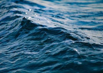 [Opinión] Silvio Becerra: Tratado de Alta Mar con énfasis en la protección de la biodiversidad biológica