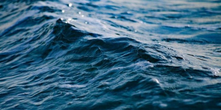 [Opinión] Silvio Becerra: Tratado de Alta Mar con énfasis en la protección de la biodiversidad biológica