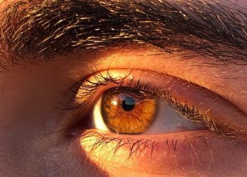 Radiación UV: cómo cuidar nuestros ojos del sol