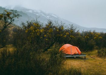 Verano con “destinos verdes”: experto entrega claves sobre la demanda turística 2024