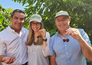 Productores de fruta enseñan el “viaje de la cereza” a Embajadora de Estados Unidos en Chile