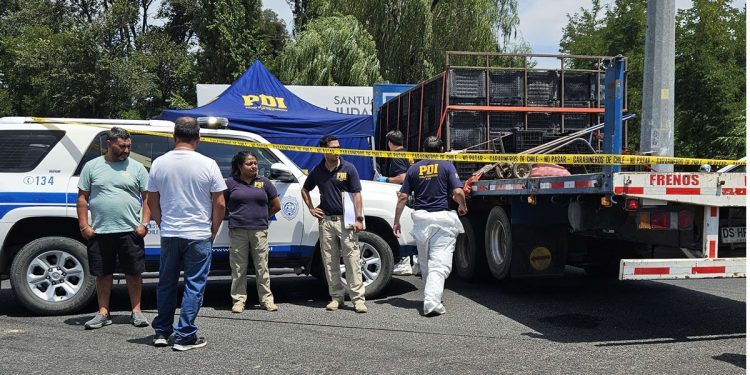 «Exigimos dureza ejemplar en el castigo»: Fedefruta se refiere al asesinato de productores de tomate en Ruta de la Fruta