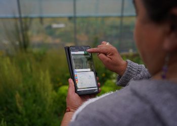 “Mi Pago INDAP”: plataforma digital facilitará los pagos de más de 62 mil agricultores de todo el país