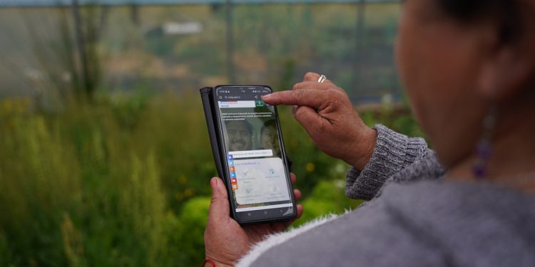 “Mi Pago INDAP”: plataforma digital facilitará los pagos de más de 62 mil agricultores de todo el país