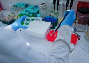 En marcha el estudio en humanos de la primera vacuna contra el cáncer de piel