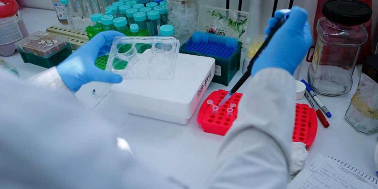 En marcha el estudio en humanos de la primera vacuna contra el cáncer de piel