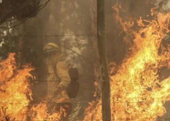 Brigadas y aeronaves de CMPC combaten seis incendios en las regiones de Biobío y La Araucanía