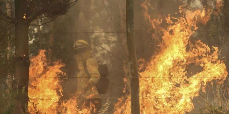 Brigadas y aeronaves de CMPC combaten seis incendios en las regiones de Biobío y La Araucanía