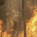 Brigadas y aeronaves de CMPC combaten seis incendios en las regiones de Biobío y La Araucanía
