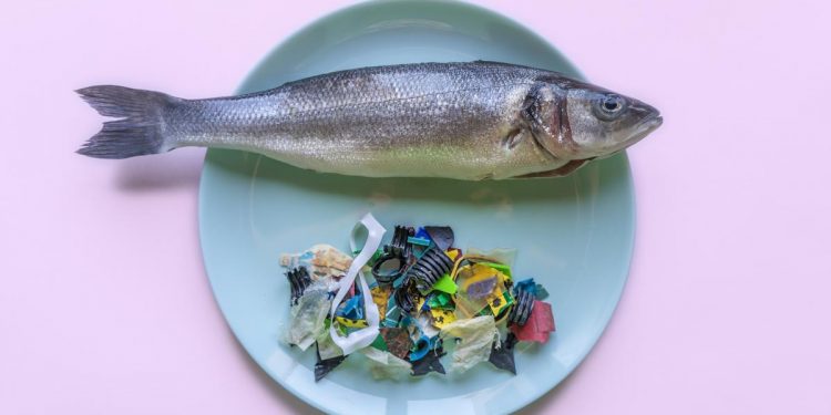 [Opinión] Claudia Narbona: Microplástico en los alimentos