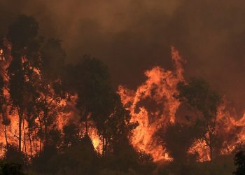 Vecinas Damnificadas de Viña del Mar Denuncian Amenazas de Incendio: «Gritan que nos quieren ver quemados»