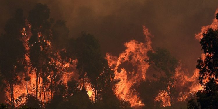 Vecinas Damnificadas de Viña del Mar Denuncian Amenazas de Incendio: «Gritan que nos quieren ver quemados»