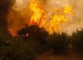 Los factores que explican el aumento de incendios forestales