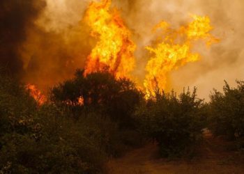 Los factores que explican el aumento de incendios forestales