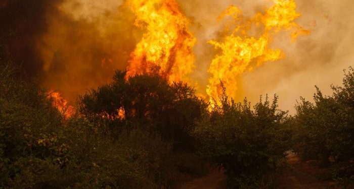 Los factores que explican el aumento de incendios forestales