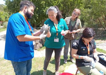 Carrera de Medicina Veterinaria UDLA evalúa estado de más de 200 animales sobrevivientes de incendio en Jardín Botánico