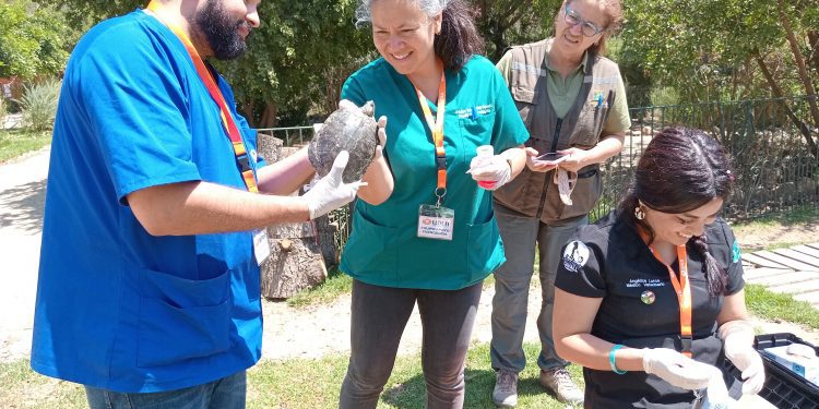 Carrera de Medicina Veterinaria UDLA evalúa estado de más de 200 animales sobrevivientes de incendio en Jardín Botánico
