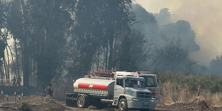 Con intermitencia de agua potable: Esval informa cortes de emergencia en sectores altos de Valparaíso por megaincendio